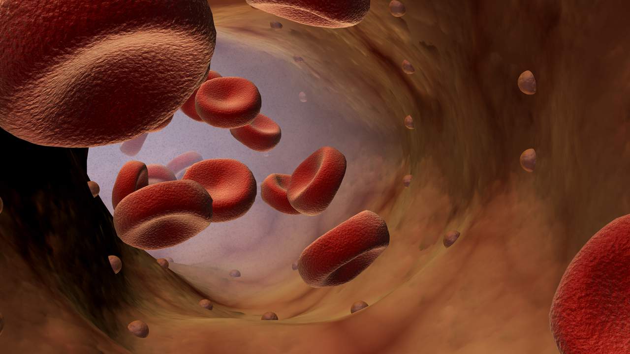 lifescience_topp3.png